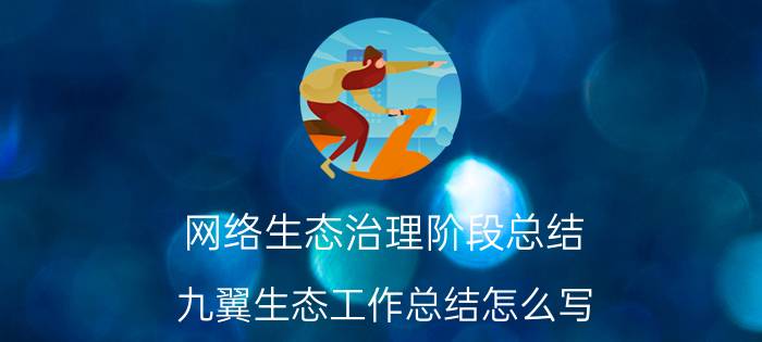 网络生态治理阶段总结 九翼生态工作总结怎么写？